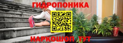 ALPHA PVP Нальчик